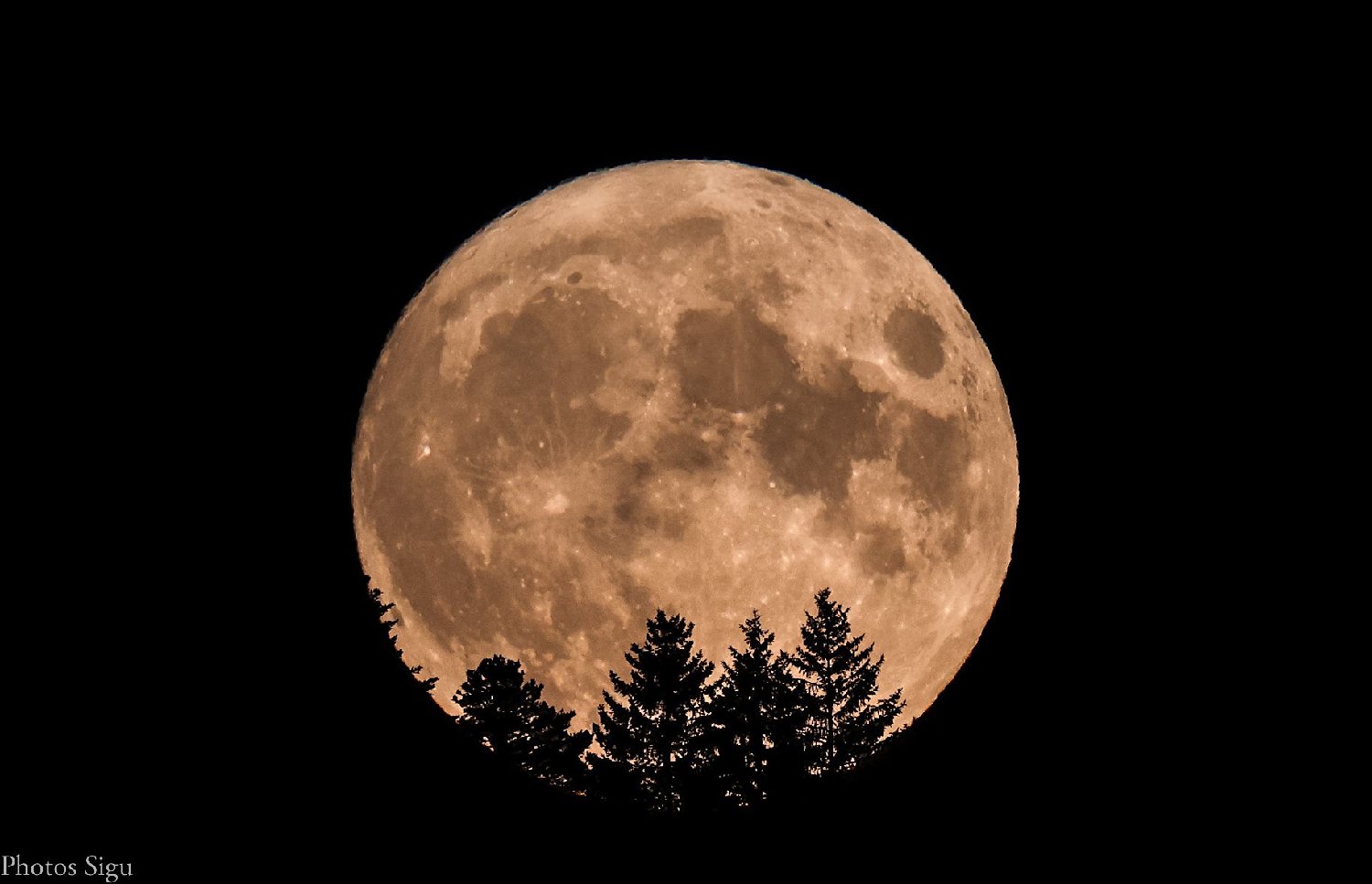 Couscous de la pleine Lune