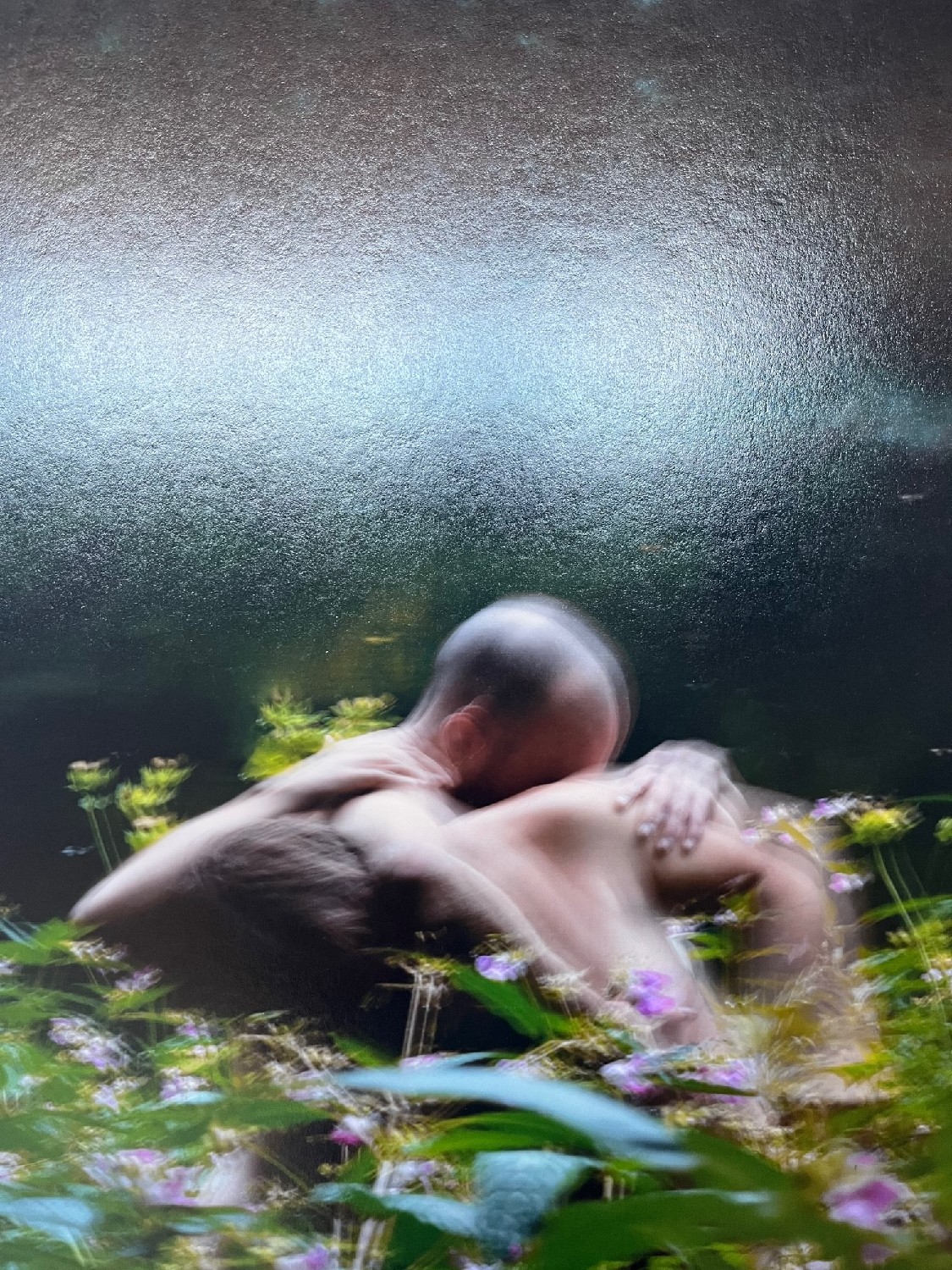 Exposition Lea Kunz