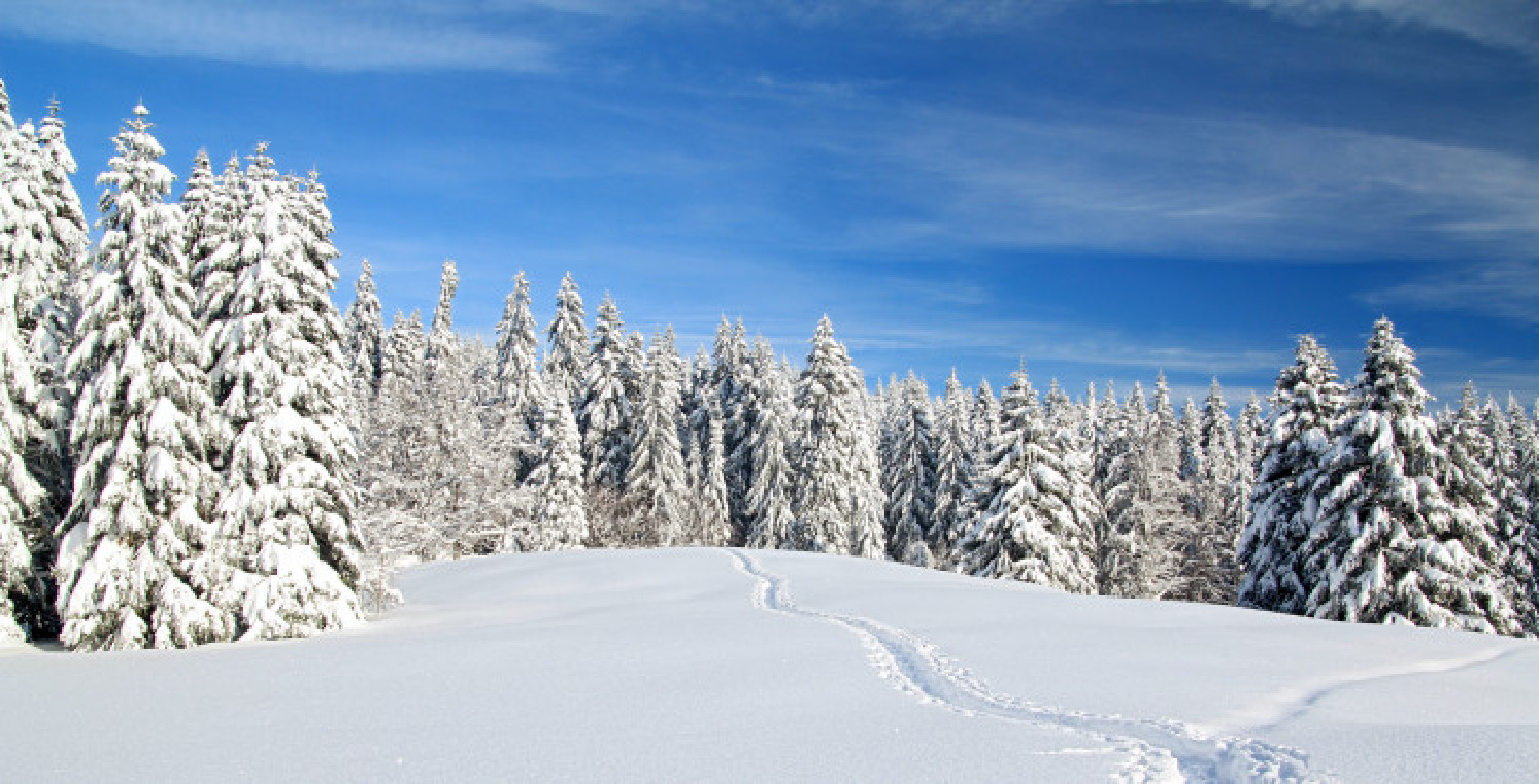 Vacances d'hiver