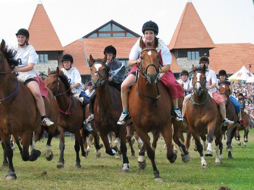 MARCHE-CONCOURS 2017